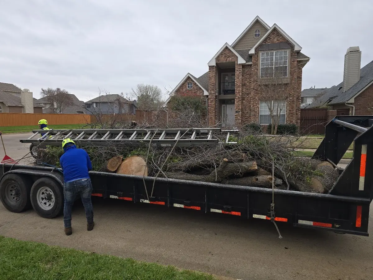 Expert Tree Pest Control with proper safety equipment in Camano Island